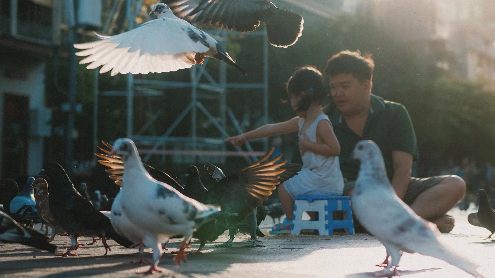 về nhà sớm ăn cơm cùng gia đình